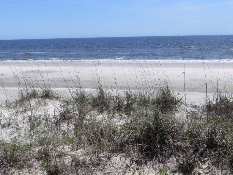 Beach at Sapelo Island