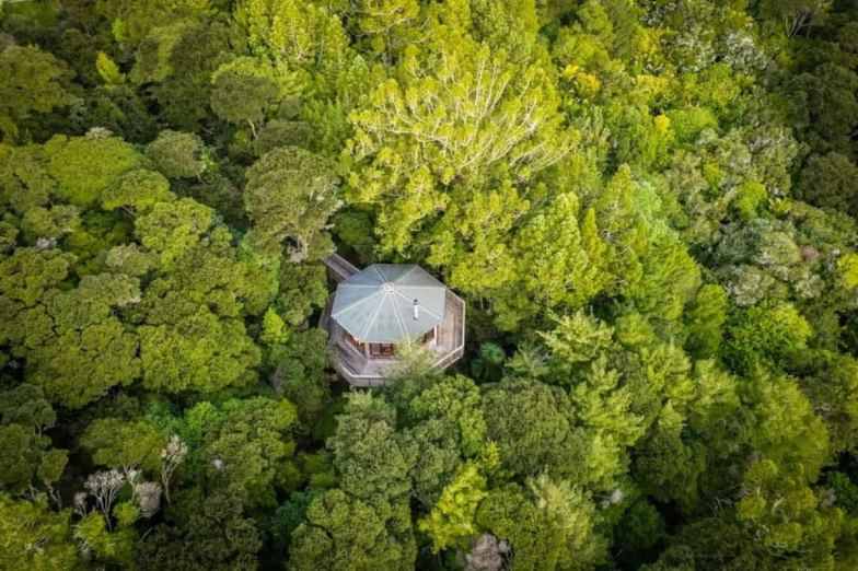 Treehouse tucked away in dense forest