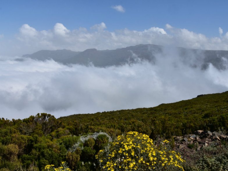 Sanetti Plateau