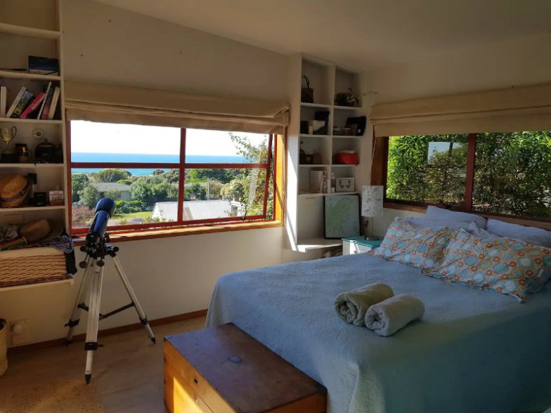 Pohutukawa tree house