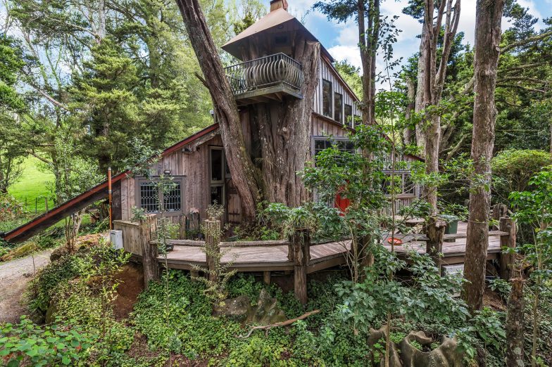 Double height treehouse hiding between the trees