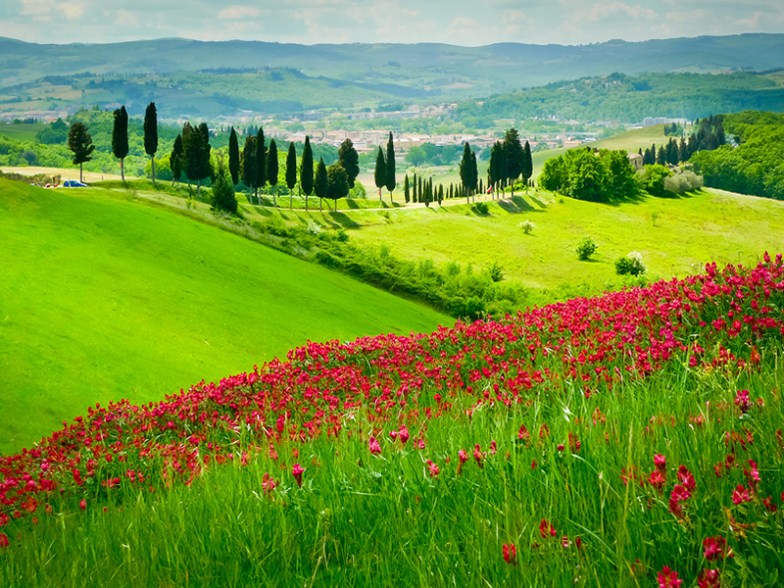 Hills near Certaldo