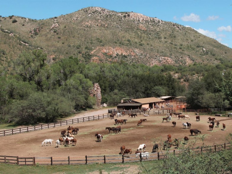 Circle Z Ranch