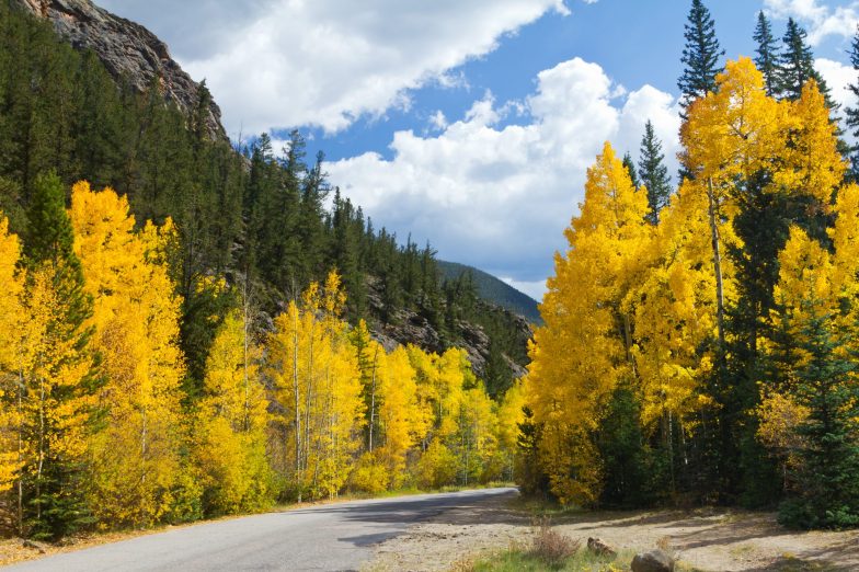 Colorado Rockies