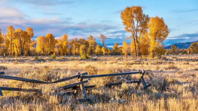 Jackson Hole in the Fall