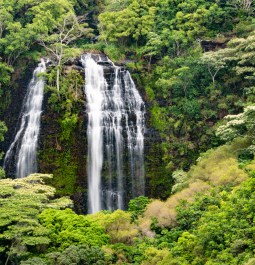 Opaekaa Falls in Kauai Hawaii