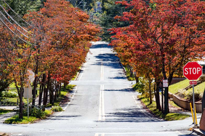 Dahlonega, Georgia in the fall