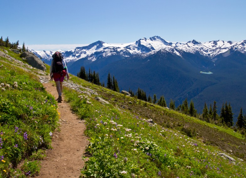 Whistler mountain in the summer time