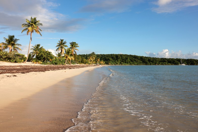 Sun Bay Beach in Vieques, Puerto Rico