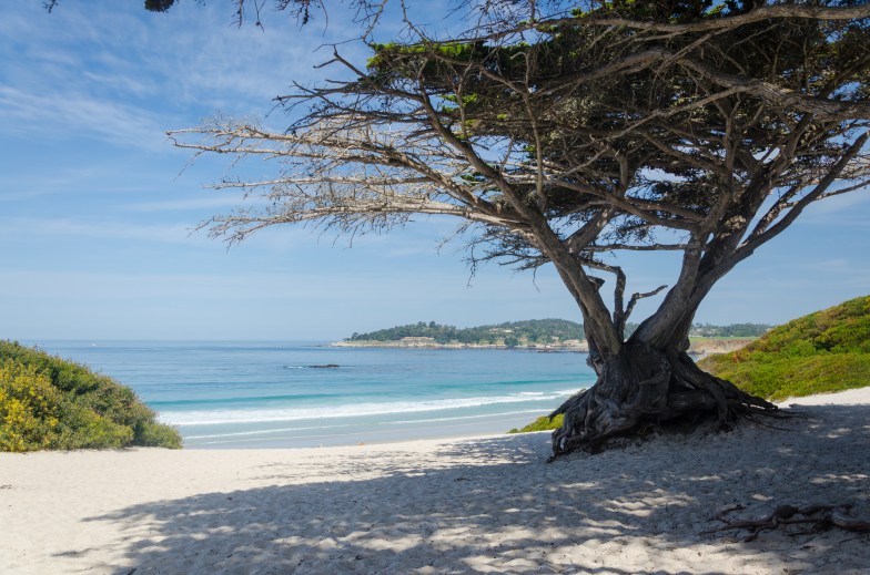 Carmel River State Beach