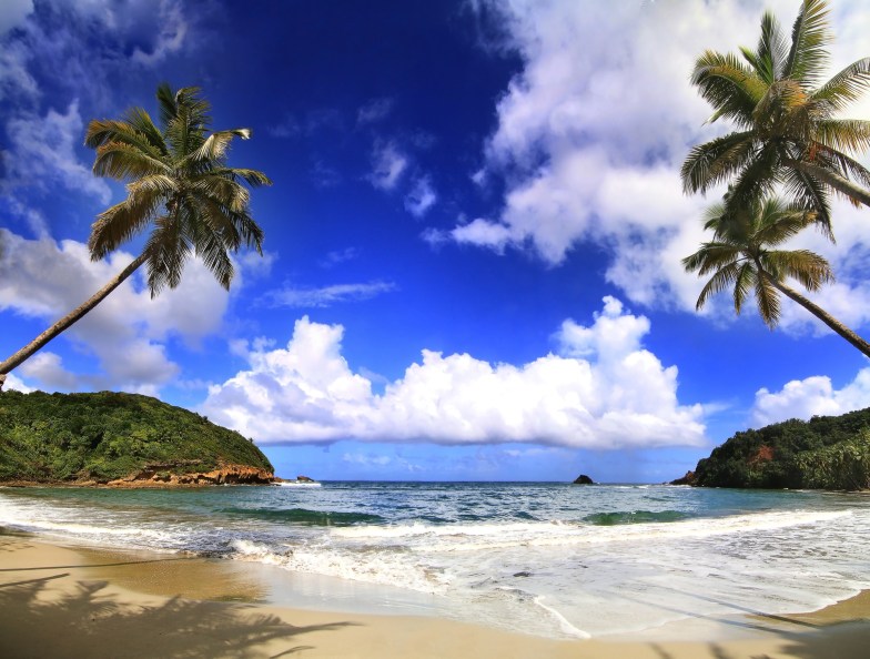 Beautiful beach in Dominica