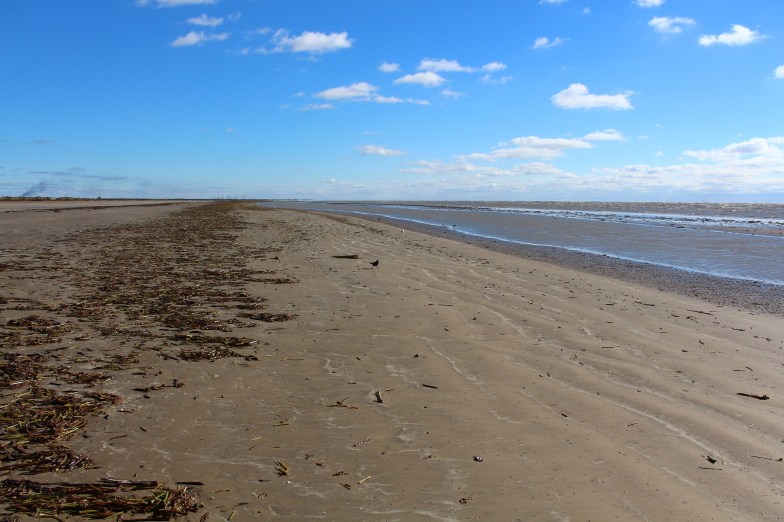 Sea Rim State Park beach