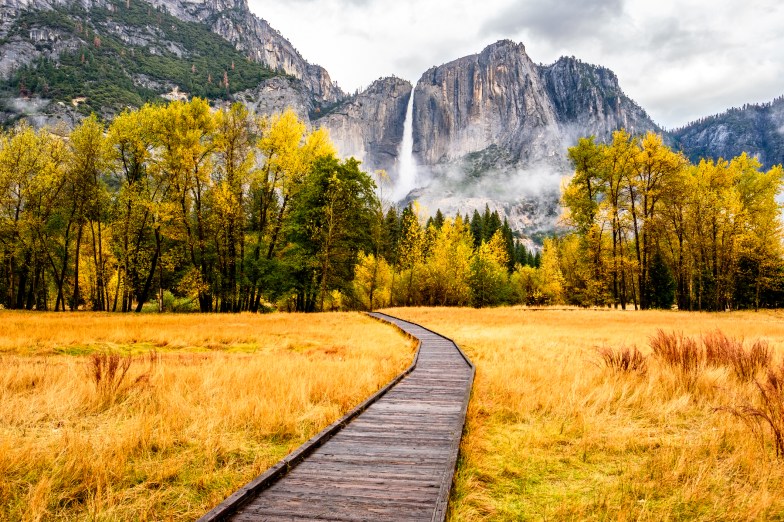 Yosemite National Park