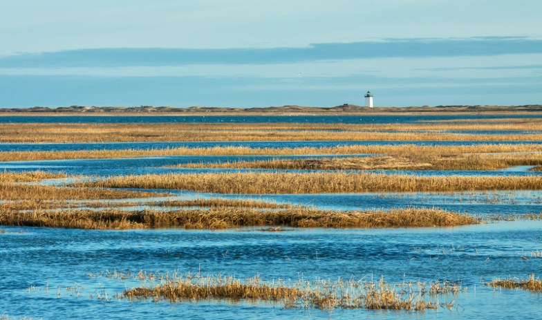 The Cape Cod Road Trip