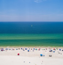 white sand beach next to turquoise ocean