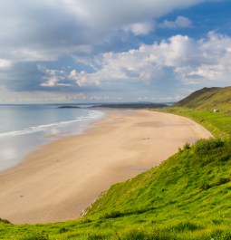 white sand beach with grassy hills nearby