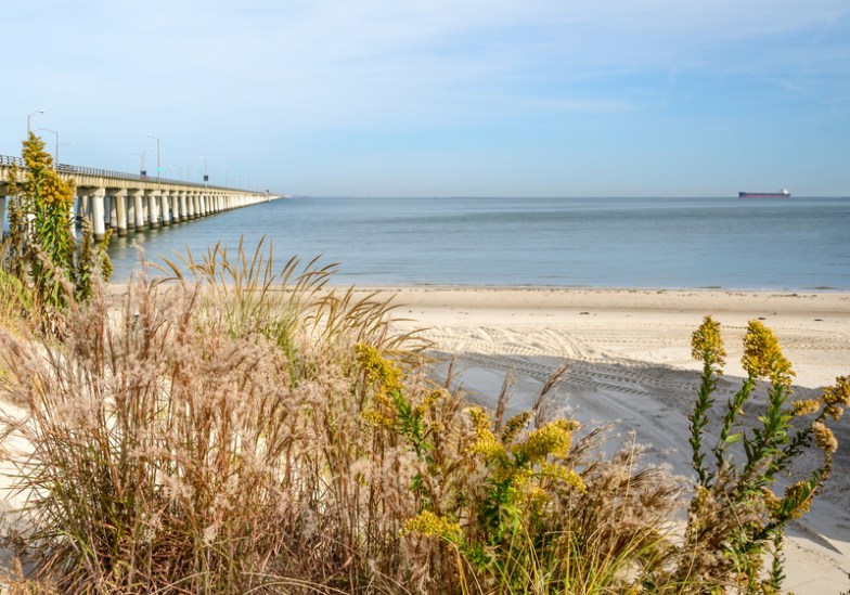 The Chesapeake Bay