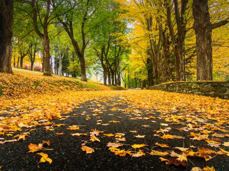 Fall in Manchester, Vermont