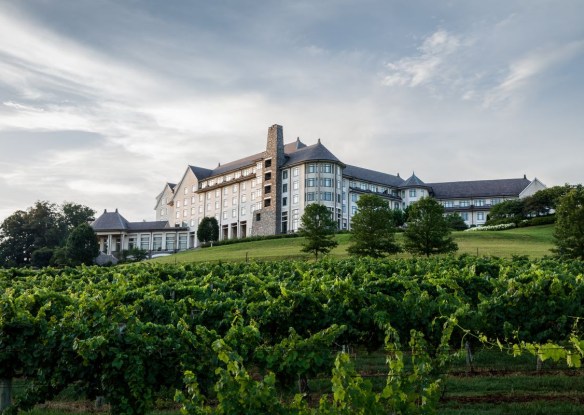 hilltop inn hotel surrounded by green foliage