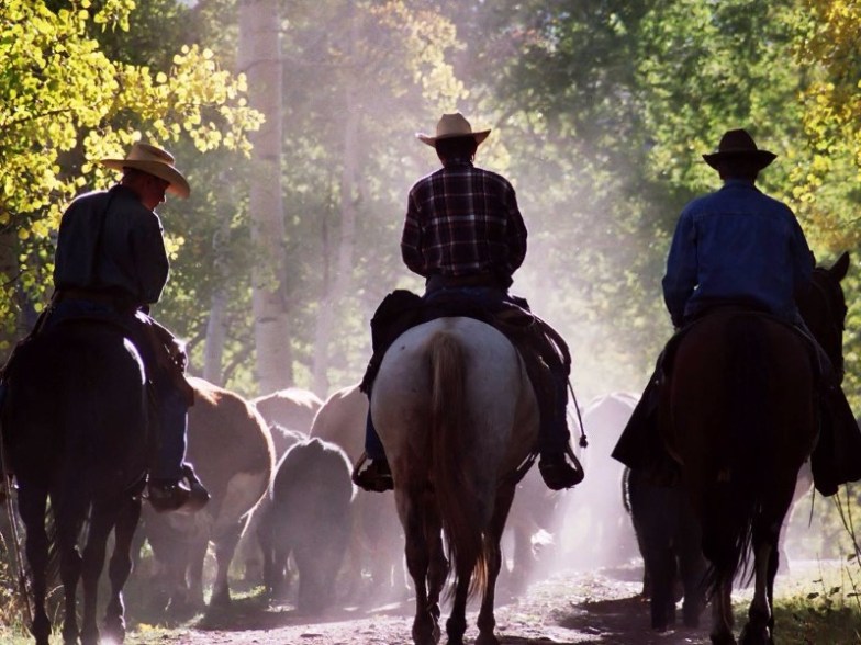 Latigo Ranch