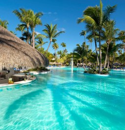 swim up bar at beach resort