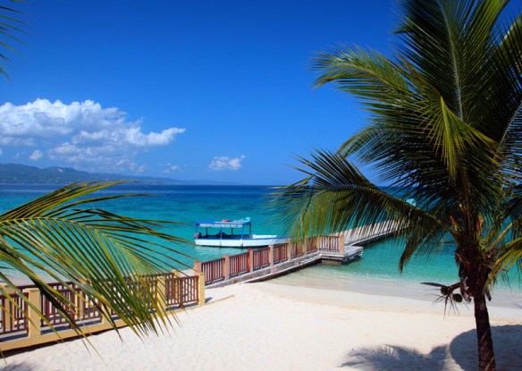 palm trees and oceanview on the beach in montego bay