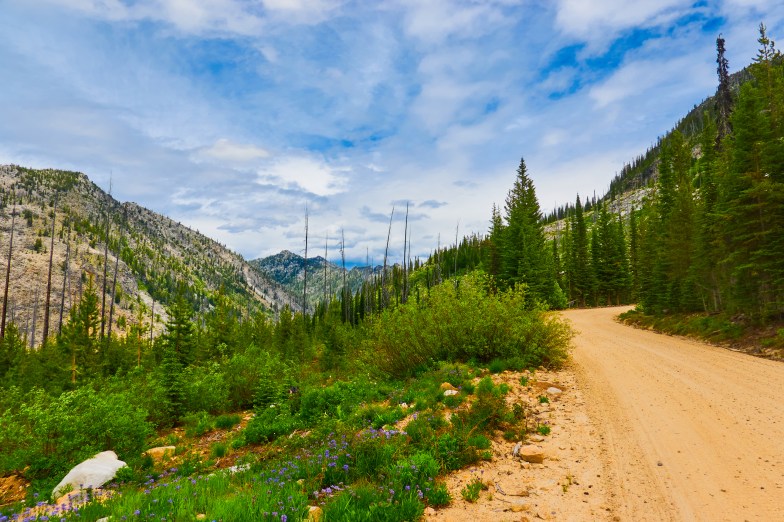 Mountain road, East Fork Road to McCall, Idaho