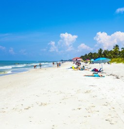 people enjoy the beautiful public white beach at Naples Pier