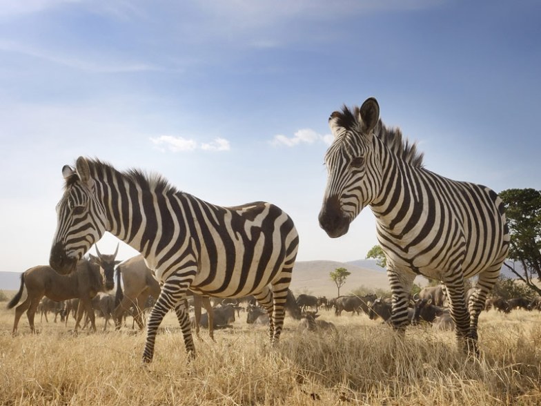 Ngorongoro Crater, Tanzania