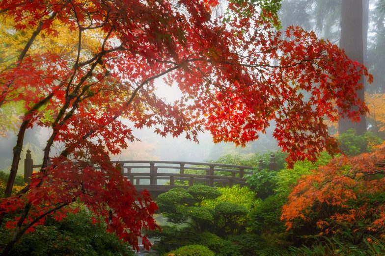 Portland Japanese Garden in Oregon