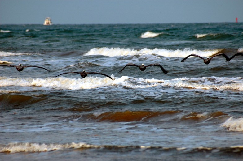 Quintana Beach, Quintana