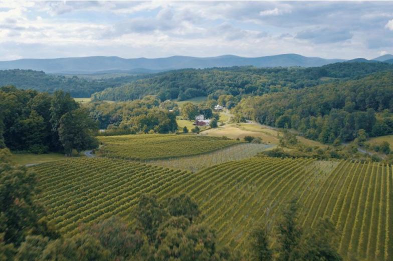 Shenandoah Valley Wine Trail