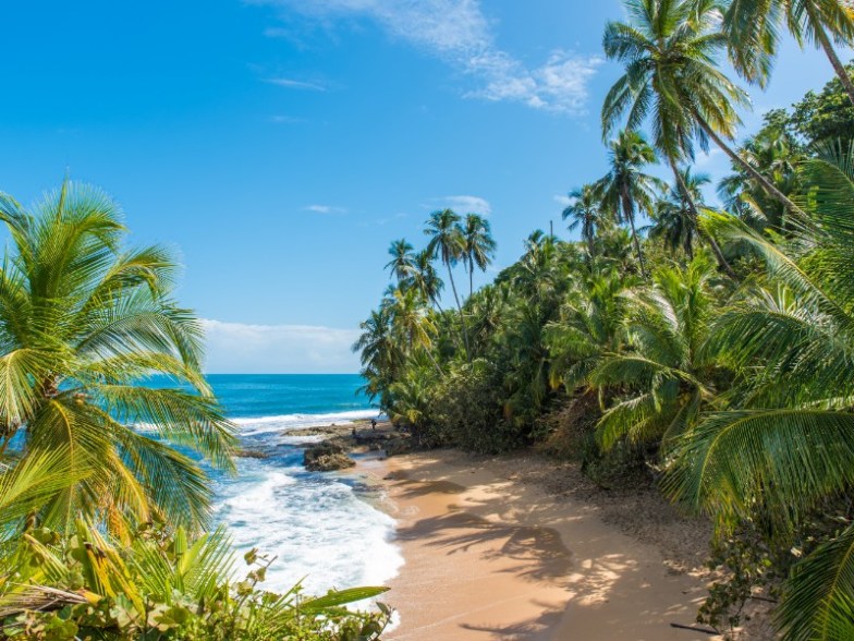 Gondoca-Manzanillo National Wildlife Refuge,  Manzanillo Beach, Costa Rica