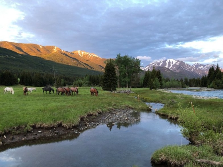 Sweet Grass Ranch - Big Timber, Montana