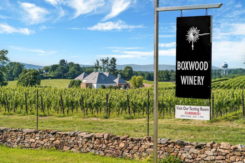 Boxwood Winery