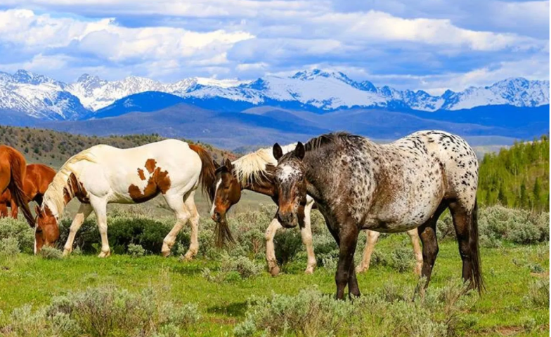 C Lazy U Ranch, Granby, Colorado