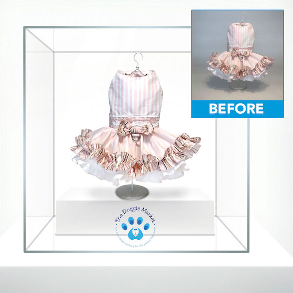 Image of a dog dress in a glass case